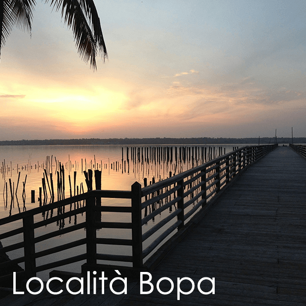 Bopa Africa