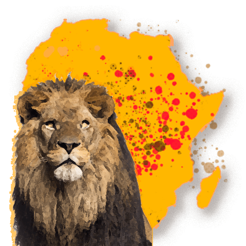 lion africa